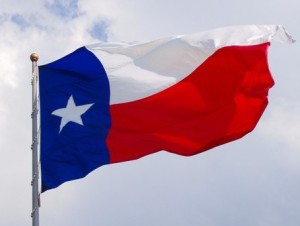 Texas flag cropped
